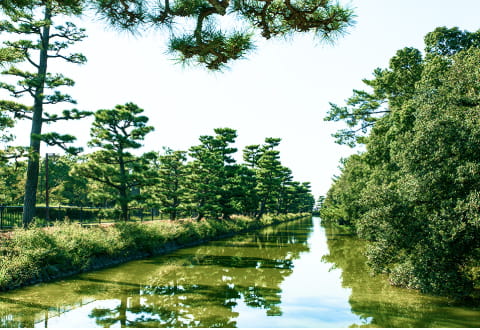 大仙陵古墳 自転車7分（約1,930m）